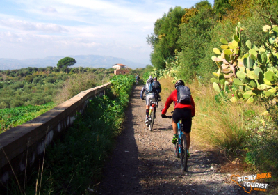 Agenzia/operatore Turistico Sicily Bike Tourist Service